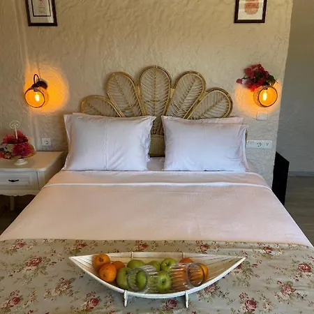 Naz * ألاتشاتي